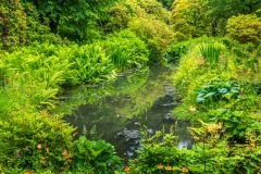 A quiet pool on the valley floor