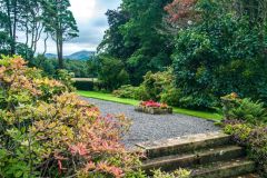 A lovely garden path