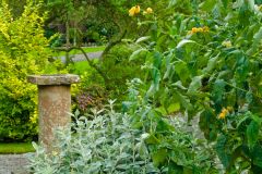 The gardens at Mirehouse
