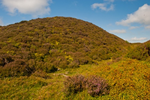 Moel Arthur Hill Fort