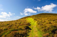 The trail to the summit