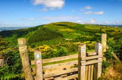 Looking towards Penycloddiau Hill Fort