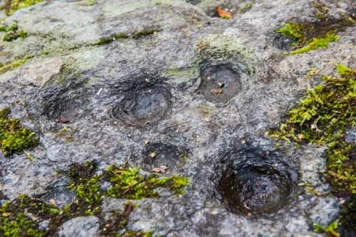 A closer look at the cup-marks