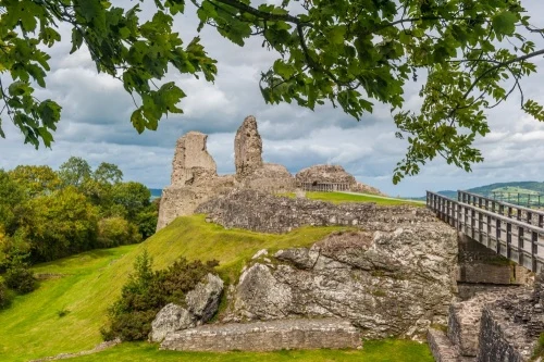 Montgomery Castle