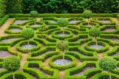 The knot garden