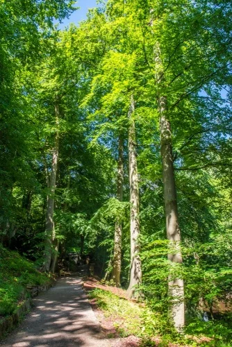 The Grade II listed Beech Avenue