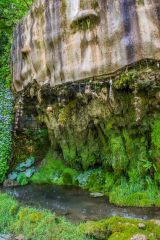 Another view of the Petrifying Well