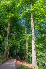 The Slingsby family's Long Walk