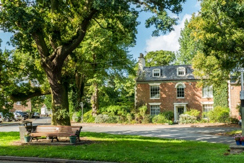 The village green