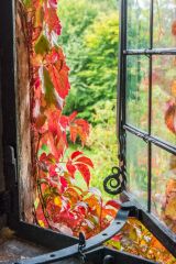 Mount Grace Priory, Looking out of Mount Grace House towards the priory ruins