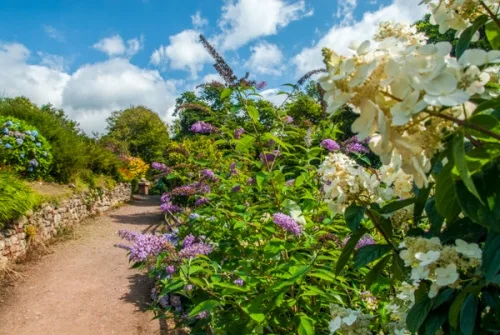 Muncaster garden terrace