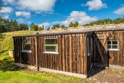 The Clockmaker's Workshop