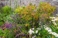 The restored period garden