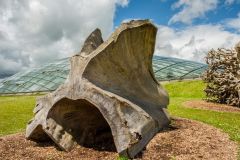 Ghost Forest tree root sculpture