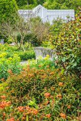 The Double Walled Garden and Butterfly House