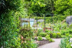 The Apothecary's Garden