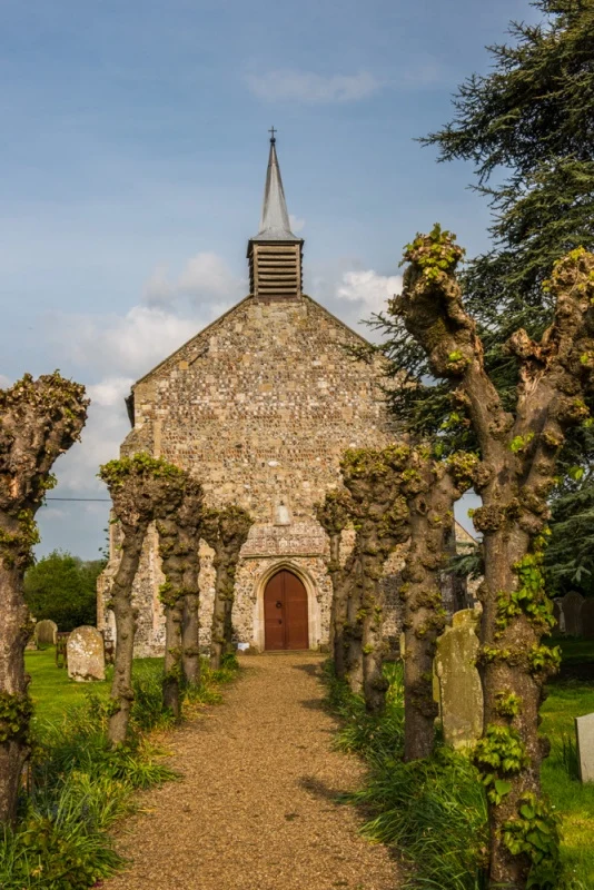 The avenue of 14 memorial lime trees
