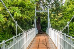Crossing the footbridge