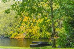 A picnic spot by the shore