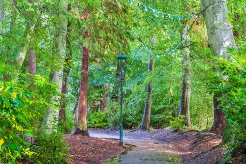 Trails wind through beautiful woodland