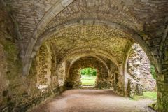 The undercroft of the Abbot's Lodging