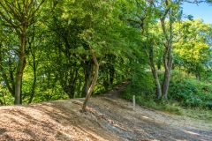 The outer earthwork bank