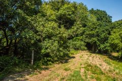 Walking along the castle earthworks