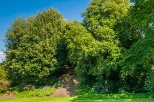 New College, Oxford, medieval garden mount