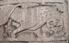 The figure of a lion