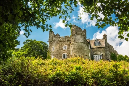 Newport Castle house