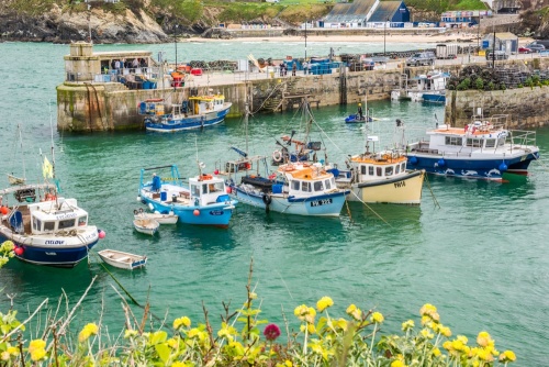 Newquay harbour