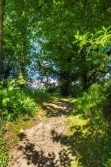 Climbing the earthwork bank