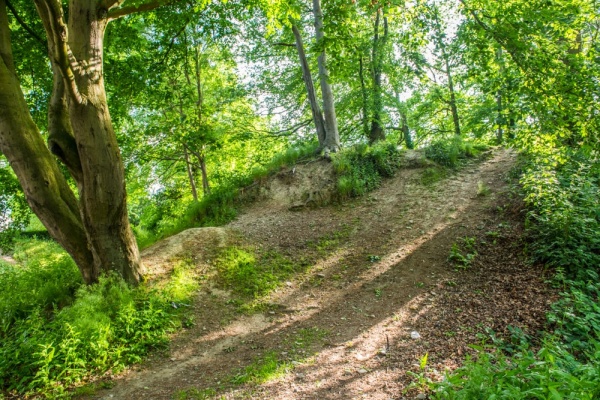 Newtown Hall Castle Motte