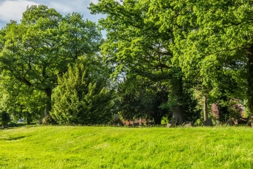 Remains of the bailey earthworks