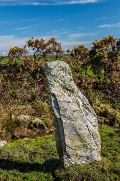 Another of the standing stones