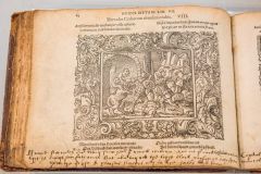1563 edition of Ovid's Metamorphoses
