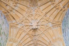 Fan-vaulting in the south porch