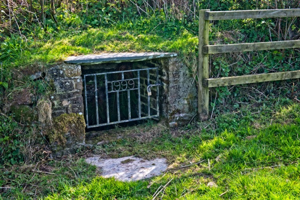 North Petherwin Holy Well