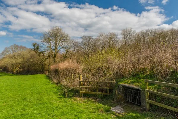 The holy well tucked into the hedge