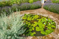 A peaceful pool in the garden