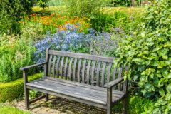A quiet garden bench