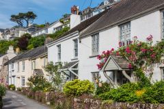 Cottages near the harbour