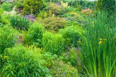 Nottingham Castle, Gardens in the castle grounds