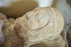 Sir Walter de Teyes effigy