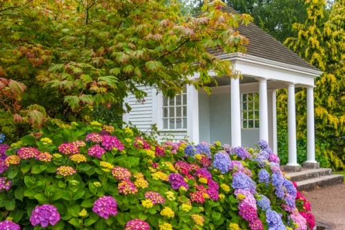 A colourful summer house