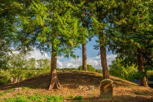 The Bronze Age barrow mound