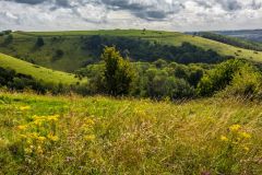 The hillfort from the north