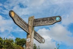 The South Downs Way passes through the reserve