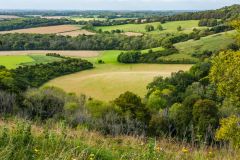 The nature reserve from the hillfort