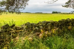 The Battle of Otterburn battlefield